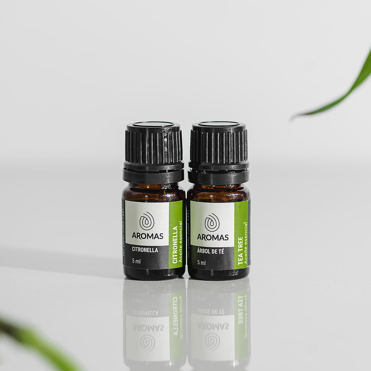 Aceite Esencial Árbol De Té